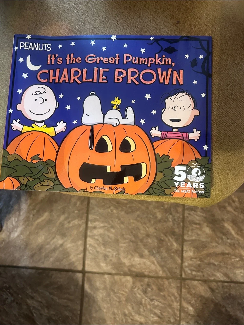 Peanuts Kids Pumpkin Patch Costume Panel - Blue & Orange